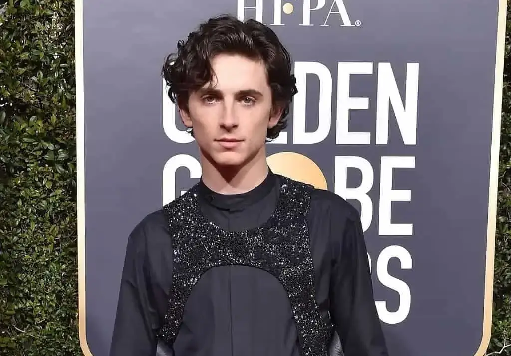 Timothée Chalamet's Bib became the most discussed thing
