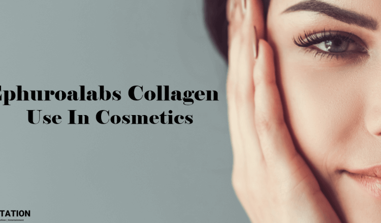 Cosmetics