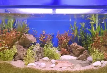 Aquarium