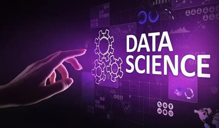 Data Scientists