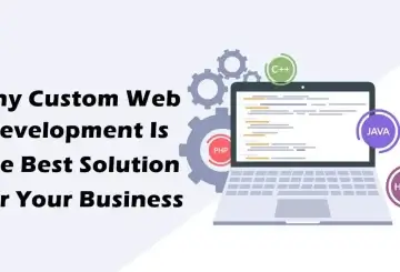 Custom Web Development