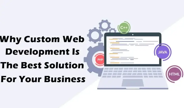 Custom Web Development