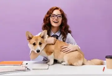 Vet Tech