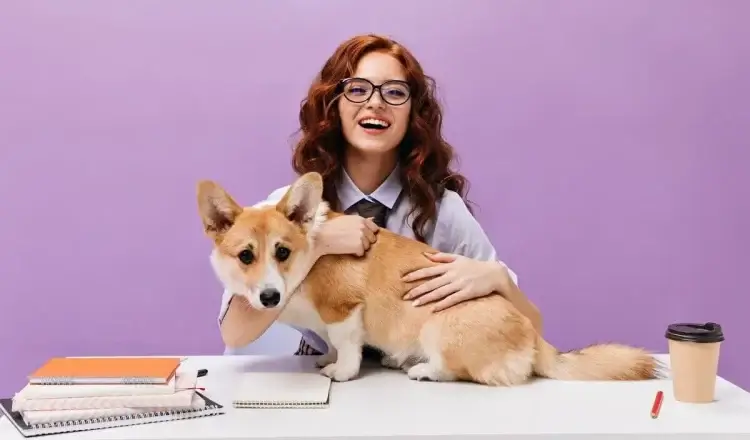 Vet Tech